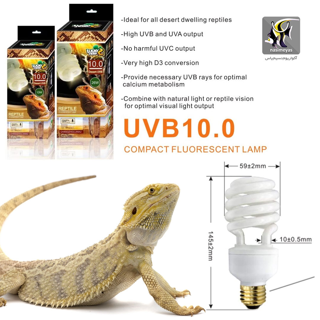 لامپ یو وی دار UVB 10 خزندگان و تراریوم ۲۶ وات لاکی هرپ