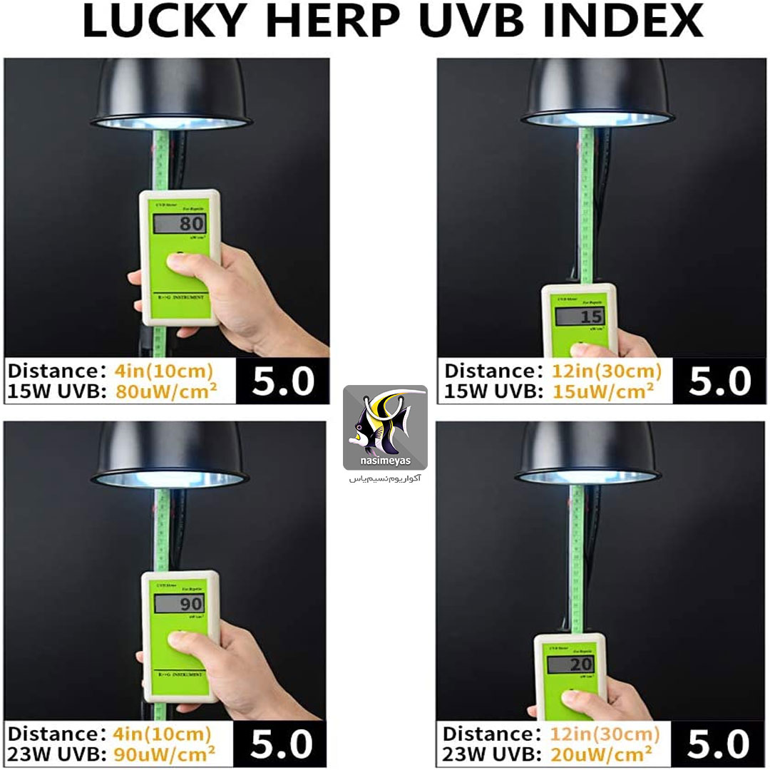 لامپ یو وی دار UVB 5 خزندگان و تراریوم 13 وات لاکی هرپ