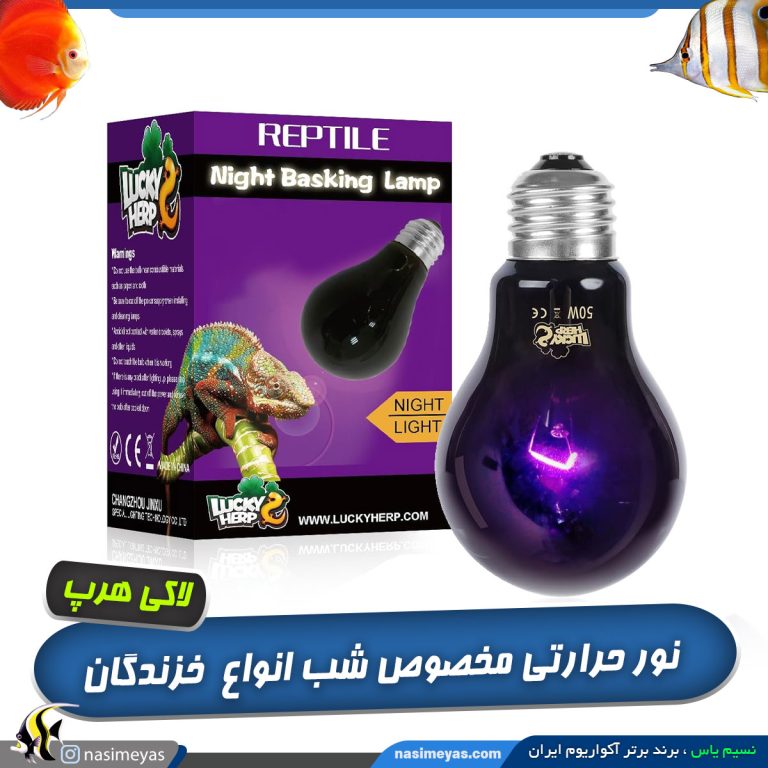 لامپ حرارتی شب خزندگان لاکی هرپ