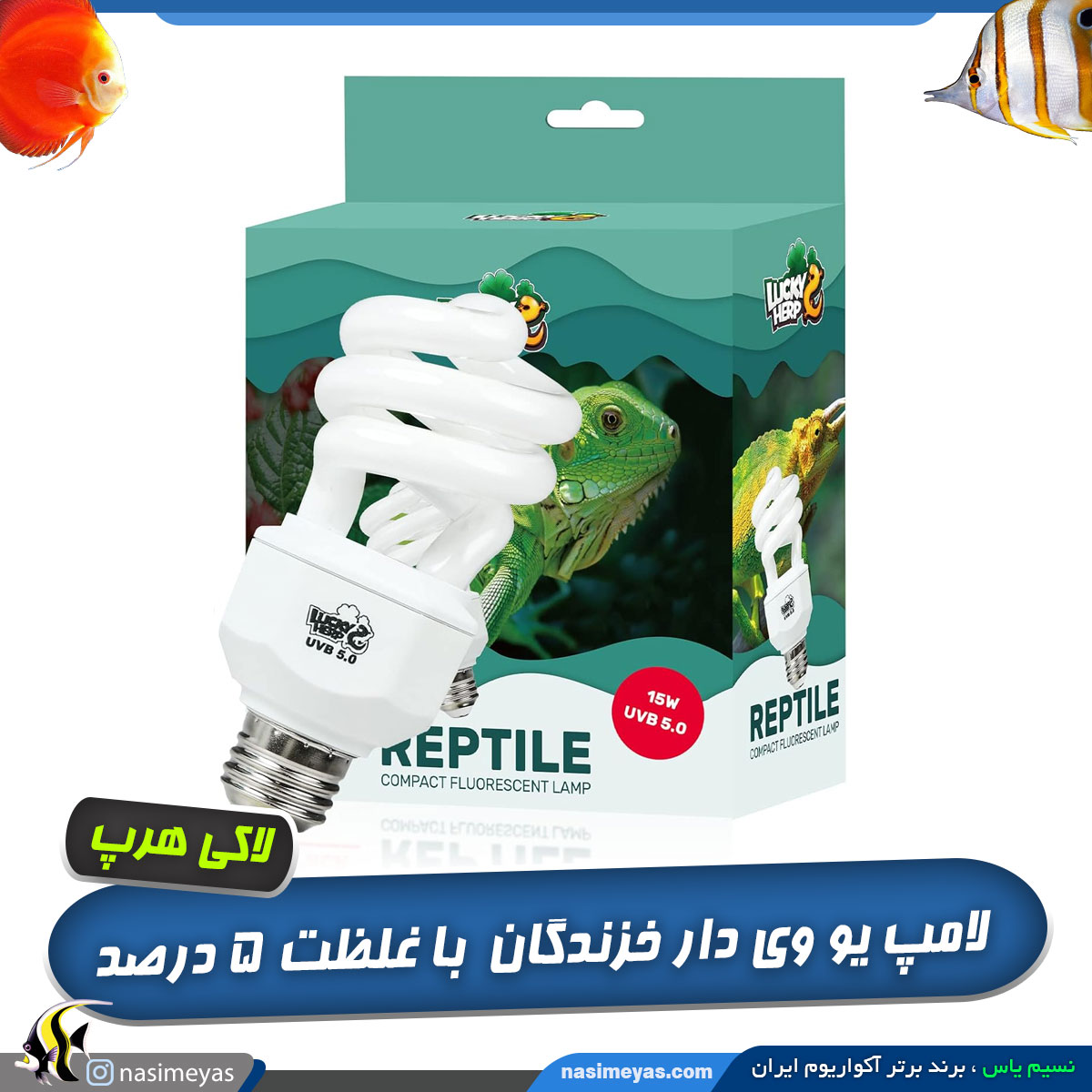 لامپ یو وی دار UVB 5 خزندگان و تراریوم لاکی هرپ