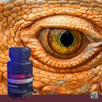 کلسیم برای مار و آفتاب پرست