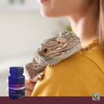 کلسیم برای خزنده