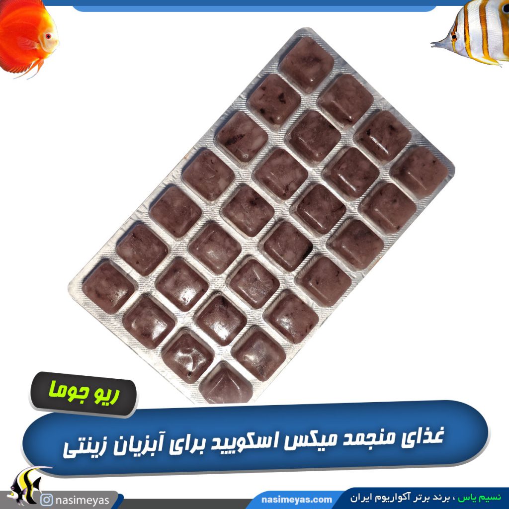 غذای اسکوئید منجمد ریو جوما