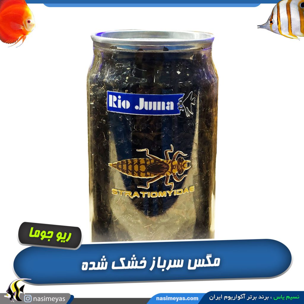مگس سرباز خشک شده ریو جوما
