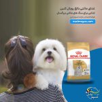 غذای سگ های مالتی بالغ رویال کنین