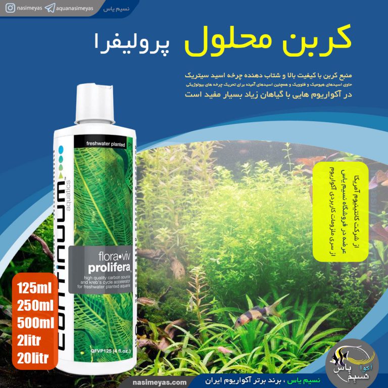 کربن محلول آکواریوم های پلنت پرولیفرا کانتینیوم