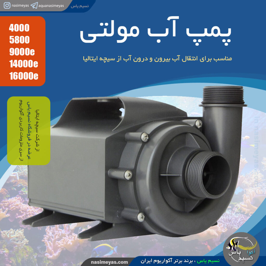 پمپ آب قوی مولتی 9000e سیچه