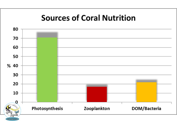 جدول فتوسنتز در zooxanthellae و دیگر مرجان ها