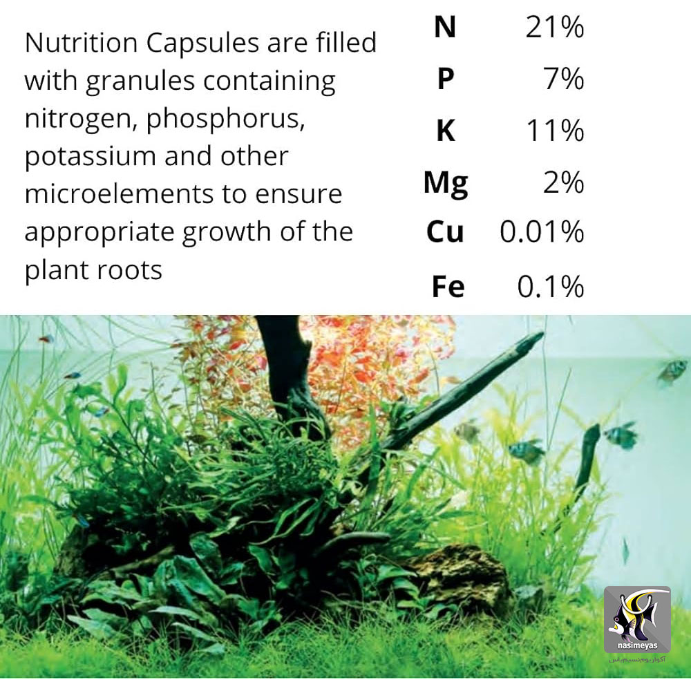 کپسول تغذیه گیاهان آبزی نوتریشن تروپیکا