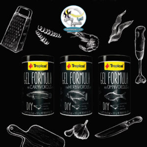 غذای DIY دست ساز ماهی تروپیکال