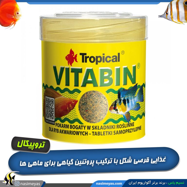 غذای قرصی با پروتئین گیاهی ویتابین تروپیکال