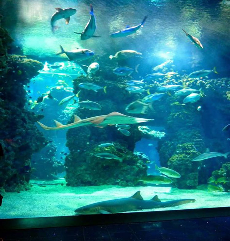 اوکاناریوم ( Oceanarium )