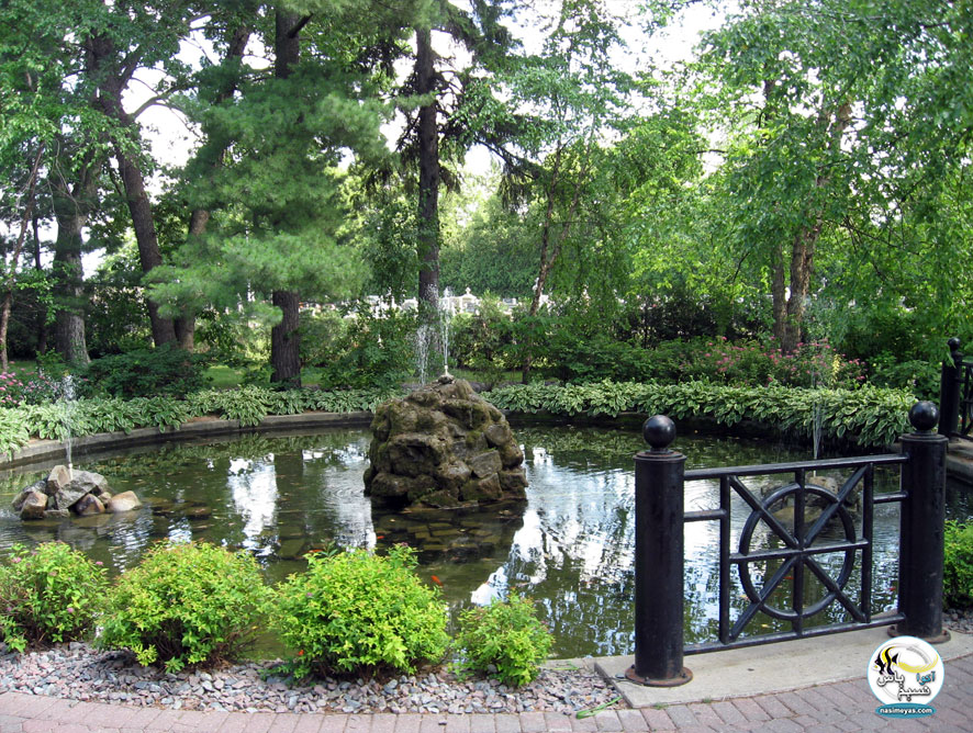 برکه ماهی ( Fish pond )